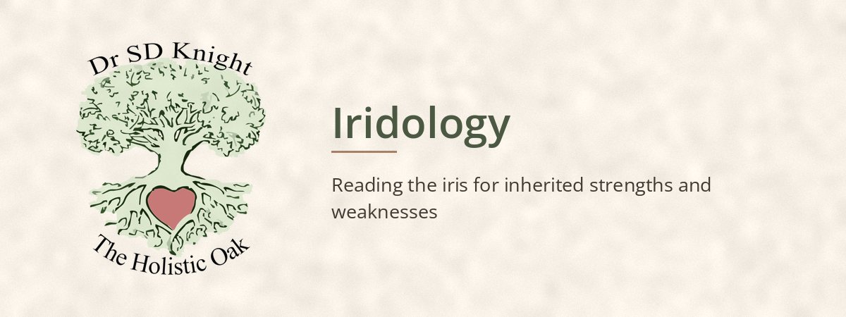 Iridology at The Holistic Oak, Port Alfred